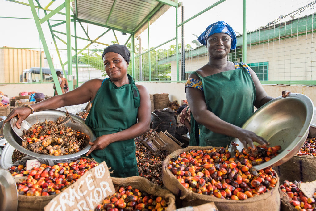 Workers preparing palm oil.